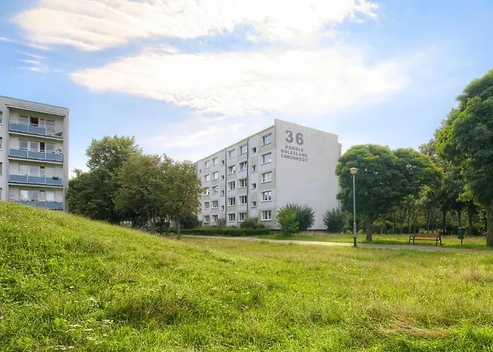 Blue Morpho Piatkowo By Bookinghost *